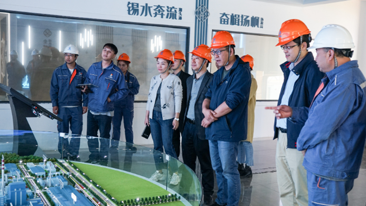 喜訊！云南錫業(yè)股份有限公司錫業(yè)分公司信息化智能化建設(shè)項(xiàng)目全面通過(guò)驗(yàn)收