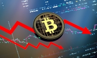 上海家化上半年净利润同比下滑两成 “怎么变革”初见答卷
